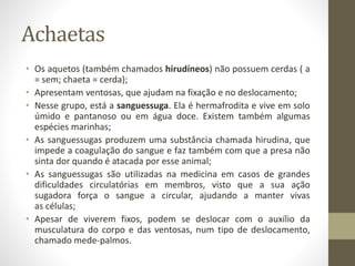 Achaetas
• Os aquetos (também chamados hirudíneos) não possuem cerdas ( a
= sem; chaeta = cerda);
• Apresentam ventosas, que ajudam na fixação e no deslocamento;
• Nesse grupo, está a sanguessuga. Ela é hermafrodita e vive em solo
úmido e pantanoso ou em água doce. Existem também algumas
espécies marinhas;
• As sanguessugas produzem uma substância chamada hirudina, que
impede a coagulação do sangue e faz também com que a presa não
sinta dor quando é atacada por esse animal;
• As sanguessugas são utilizadas na medicina em casos de grandes
dificuldades circulatórias em membros, visto que a sua ação
sugadora força o sangue a circular, ajudando a manter vivas
as células;
• Apesar de viverem fixos, podem se deslocar com o auxílio da
musculatura do corpo e das ventosas, num tipo de deslocamento,
chamado mede-palmos.
 