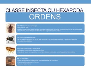 CLASSE INSECTA OU HEXAPODA
ORDENS
HEMIPTERA(barbeiro e percevejjo)
-Dois pares de asas
-Aparelho bucal do tipo picador sugador originado anteriormente aos olhos, constituído por um par de mandíbulas e
um de maxilas, envolvidos por um lábio tri ou tetra-segmentado e sem palpos.
DIPTERA (moscas e mosquitos)
-Na forma adulta, possuem um par de asas funcionais e um par de asas vestigiais – os alteres e balancins.
-Evolução holometabólica
SIPHONAPTERA(pulgas e bichos-de-pé)
-Adultos são ectoparasitas de aves e mamíferos
-Importância: atuam como parasitas, como transmissores (vetores) ou como hospedeiros intermediários
ANOPLURA(piolho)
-Todos hematófilos com metamorfose gradual e parasitas de mamíferos
-Poucas espécies parasitam o homem
-Causam prurido intenso
 