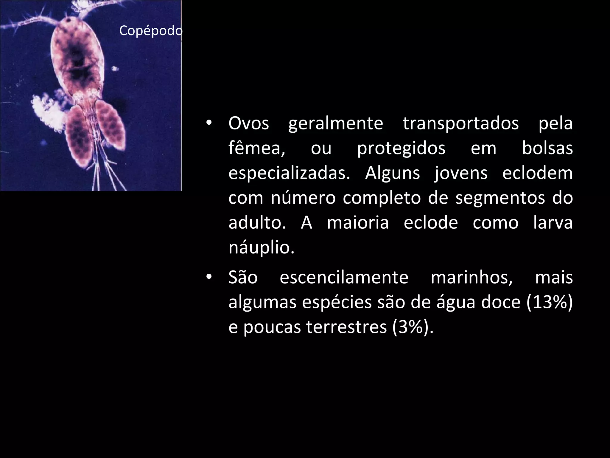 Ovos geralmente transportados pela fêmea, ou protegidos em bolsas especializadas. Alguns jovens eclodem com número completo de segmentos do adulto. A maioria eclode como larva náuplio. São escencilamente marinhos, mais algumas espécies são de água doce (13%) e poucas terrestres (3%). Copépodo 