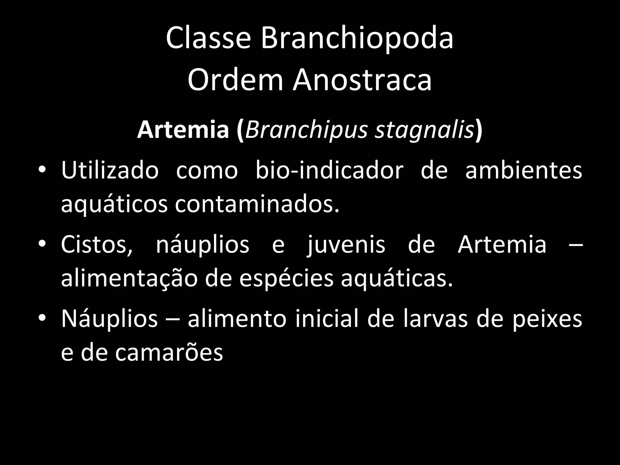 Classe Branchiopoda Ordem Anostraca Artemia ( Branchipus stagnalis ) Utilizado como bio-indicador de ambientes aquáticos contaminados. Cistos, náuplios e juvenis de Artemia – alimentação de espécies aquáticas. Náuplios – alimento inicial de larvas de peixes e de camarões 