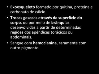 Exoesqueleto  formado por quitina, proteína e carbonato de cálcio. Trocas gasosas através da superfície do corpo , ou por meio de  brânquias  desenvolvidas a partir de determinadas regiões dos apêndices torácicos ou abdominais. Sangue com  hemocianina , raramente com outro pigmento 