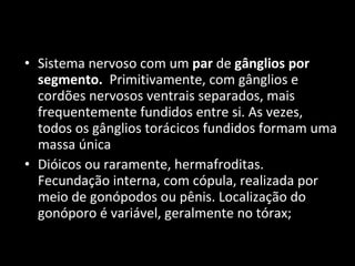 Sistema nervoso com um  par  de  gânglios por segmento.   Primitivamente, com gânglios e cordões nervosos ventrais separados, mais frequentemente fundidos entre si. As vezes, todos os gânglios torácicos fundidos formam uma massa única Dióicos ou raramente, hermafroditas. Fecundação interna, com cópula, realizada por meio de gonópodos ou pênis. Localização do gonóporo é variável, geralmente no tórax; 