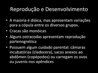 Reprodução e Desenvolvimento A maioria é dióica, mas apresentam variações para a cópula entre os diversos grupos. Cracas são monóicas Alguns ostracodas apresentam reprodução partenognética Possuem algum cuidado parental: câmaras incubatórias (cladocera), sacos anexos ao abdômen (copépodos) ou carregam os ovos ou juvenis nos apêndices 