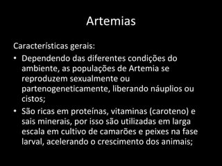 Artemias Características gerais: Dependendo das diferentes condições do ambiente, as populações de Artemia se reproduzem sexualmente ou partenogeneticamente, liberando náuplios ou cistos; São ricas em proteínas, vitaminas (caroteno) e sais minerais, por isso são utilizadas em larga escala em cultivo de camarões e peixes na fase larval, acelerando o crescimento dos animais; 