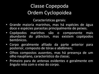 Classe Copepoda Ordem Cyclopoidea Características gerais: Grande maioria marinhos, mas há espécies de água doce e espécies parasitas principalmente de peixes. Copépodos marinhos são o componente mais abundante do plâncton, mas existem copépodos bentônicos. Corpo geralmente afilado da parte anterior para posterior, composto de tórax e abdômen; Olhos compostos ausentes, mas há presença de um olho naupliano, característico da classe; Primeiro para de antenas evidentes e geralmente em ângulo reto com o eixo do corpo. 