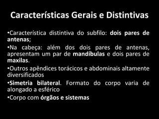 Características Gerais e Distintivas Característica distintiva do subfilo:  dois pares de antenas ; Na cabeça: além dos dois pares de antenas, apresentam um par de  mandíbulas  e dois pares de  maxilas . Outros apêndices torácicos e abdominais altamente diversificados Simetria bilateral . Formato do corpo varia de alongado a esférico Corpo com  órgãos e sistemas 