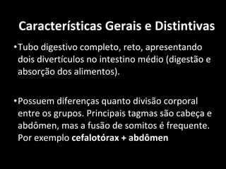 Tubo digestivo completo, reto, apresentando  dois divertículos no intestino médio (digestão e absorção dos alimentos). Possuem diferenças quanto divisão corporal entre os grupos. Principais tagmas são cabeça e abdômen, mas a fusão de somitos é frequente. Por exemplo  cefalotórax + abdômen Características Gerais e Distintivas 