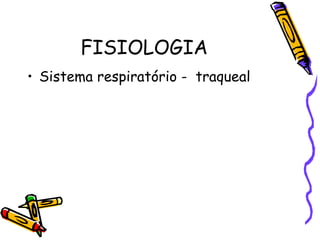 FISIOLOGIA Sistema respiratório -  traqueal 