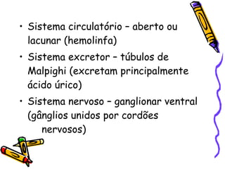 Sistema circulatório – aberto ou lacunar (hemolinfa) Sistema excretor – túbulos de Malpighi (excretam principalmente ácido úrico) Sistema nervoso – ganglionar ventral (gânglios unidos por cordões  nervosos) 