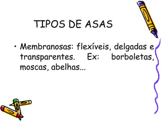 TIPOS DE ASAS Membranosas: flexíveis, delgadas e transparentes. Ex: borboletas, moscas, abelhas... 