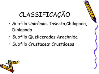 CLASSIFICAÇÃO Subfilo Unirâmio: Insecta,Chilopoda, Diplopoda Subfilo Quelicerados:Arachnida Subfilo Crustacea: Crustáceos 