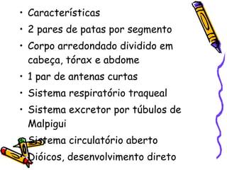 Características 2 pares de patas por segmento Corpo arredondado dividido em cabeça, tórax e abdome 1 par de antenas curtas Sistema respiratório traqueal Sistema excretor por túbulos de Malpigui Sistema circulatório aberto Dióicos, desenvolvimento direto 