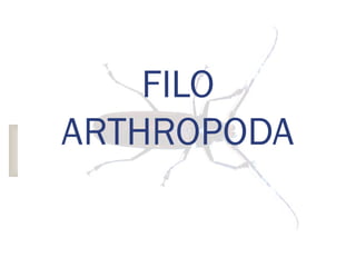 FILO
ARTHROPODA
 