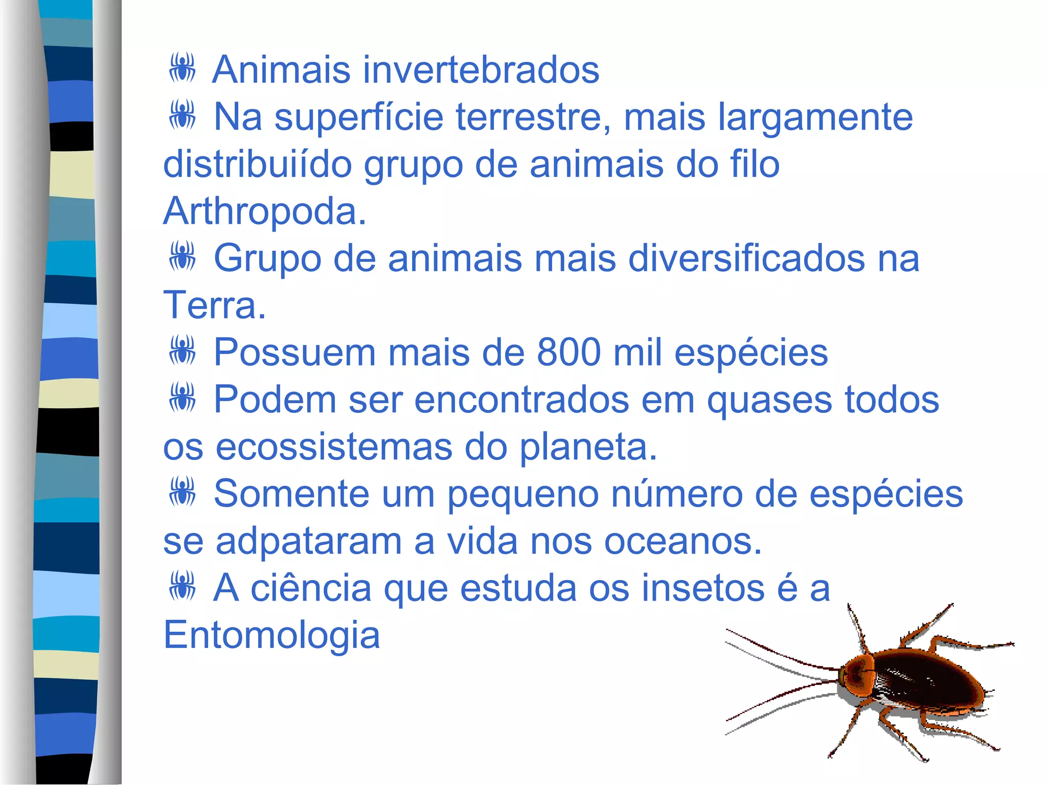 Filo artrópodes 03 insetos - características e anatomia | PPT