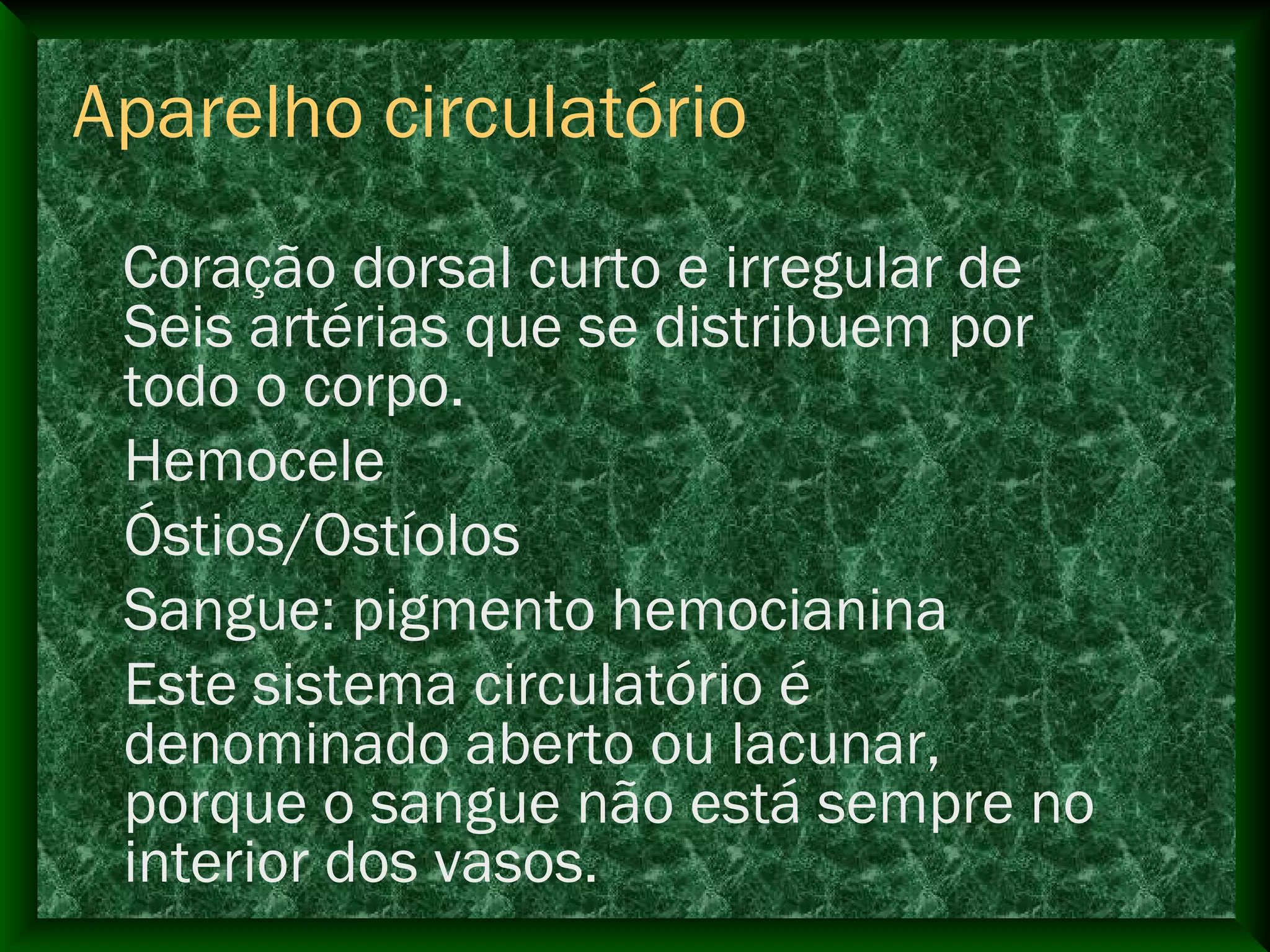 Coração dorsal curto e irregular de
Seis artérias que se distribuem por
todo o corpo.
Hemocele
Óstios/Ostíolos
Sangue: pigmento hemocianina
Este sistema circulatório é
denominado aberto ou lacunar,
porque o sangue não está sempre no
interior dos vasos.
Aparelho circulatório
 