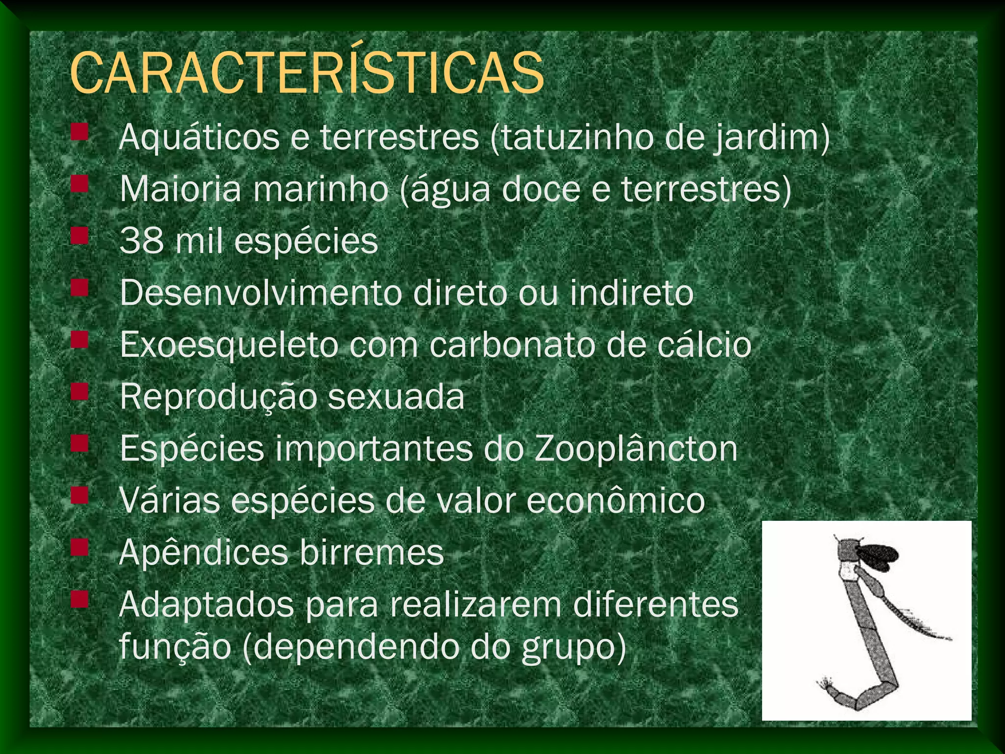 CARACTERÍSTICAS
 Aquáticos e terrestres (tatuzinho de jardim)
 Maioria marinho (água doce e terrestres)
 38 mil espécies
 Desenvolvimento direto ou indireto
 Exoesqueleto com carbonato de cálcio
 Reprodução sexuada
 Espécies importantes do Zooplâncton
 Várias espécies de valor econômico
 Apêndices birremes
 Adaptados para realizarem diferentes
função (dependendo do grupo)
 