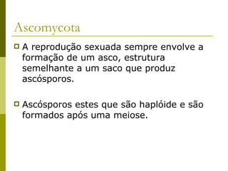 Ascomycota
   A reprodução sexuada sempre envolve a
    formação de um asco, estrutura
    semelhante a um saco que produz
    ascósporos.

   Ascósporos estes que são haplóide e são
    formados após uma meiose.
 
