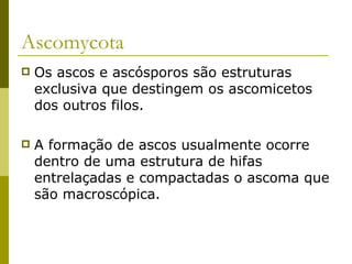 Ascomycota
   Os ascos e ascósporos são estruturas
    exclusiva que destingem os ascomicetos
    dos outros filos.

   A formação de ascos usualmente ocorre
    dentro de uma estrutura de hifas
    entrelaçadas e compactadas o ascoma que
    são macroscópica.
 