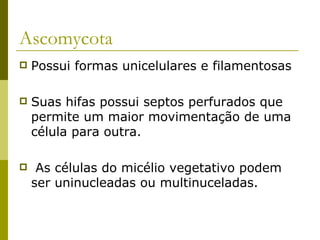 Ascomycota
   Possui formas unicelulares e filamentosas

   Suas hifas possui septos perfurados que
    permite um maior movimentação de uma
    célula para outra.

    As células do micélio vegetativo podem
    ser uninucleadas ou multinuceladas.
 
