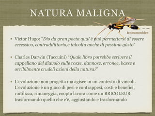 NATURA MALIGNA
Victor Hugo: “Dio da gran poeta qual è può permettersi di essere
eccessivo, contraddittorio,e talvolta anche di pessimo gusto”
Charles Darwin (Taccuini) “Quale libro potrebbe scrivere il
cappellano del diavolo sulle rozze, dannose, erronee, basse e
orribilmente crudeli azioni della natura?”
L’evoluzione non progetta ma agisce in un contesto di vincoli.
L’evoluzione è un gioco di pesi e contrappesi, costi e benefici,
riutilizza, rimaneggia, coopta lavora come un BRICOLEUR
trasformando quello che c’è, aggiustando e trasformando
Icneumonidee
 
