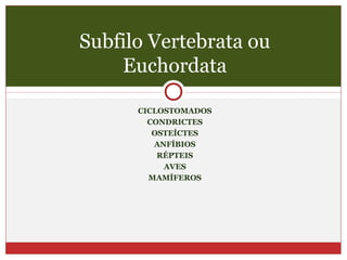 CICLOSTOMADOS
CONDRICTES
OSTEÍCTES
ANFÍBIOS
RÉPTEIS
AVES
MAMÍFEROS
Subfilo Vertebrata ou
Euchordata
 