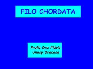 FILO CHORDATA
Profa Dra Flávia
Unesp Dracena
 