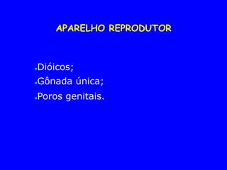 APARELHO REPRODUTOR
●Dióicos;
●Gônada única;
●Poros genitais.
 
