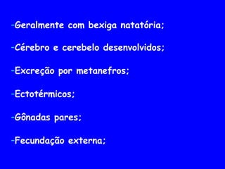 -Geralmente com bexiga natatória;
-Cérebro e cerebelo desenvolvidos;
-Excreção por metanefros;
-Ectotérmicos;
-Gônadas pares;
-Fecundação externa;
 