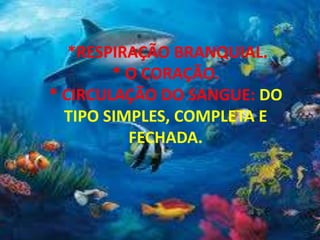 *RESPIRAÇÃO BRANQUIAL.
* O CORAÇÃO.
* CIRCULAÇÃO DO SANGUE: DO
TIPO SIMPLES, COMPLETA E
FECHADA.
 