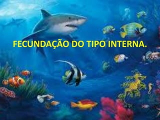 FECUNDAÇÃO DO TIPO INTERNA.
 