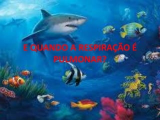 E QUANDO A RESPIRAÇÃO É
PULMONAR?
 