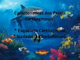 Características dos Peixes
Cartilaginosos:
* Esqueleto Cartilaginoso.
* Nadadeiras(Barbatanas).
 