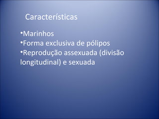 Características Marinhos Forma exclusiva de pólipos Reprodução assexuada (divisão longitudinal) e sexuada 