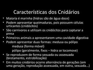 Características dos Cnidários
• Maioria é marinha (hidras são de água doce)
• Podem apresentar queimaduras, pois possuem c...