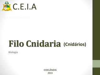 Filo Cnidaria
Biologia
CIDELÂNDIA
2015
(Cnidários)
C.E.I.A
por Pedro Gervásio
 
