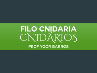 Filo cNIDARIA
CNIDÁRIOS
Prof Ygor Barros
 