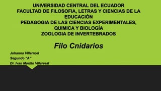 UNIVERSIDAD CENTRAL DEL ECUADOR
FACULTAD DE FILOSOFIA, LETRAS Y CIENCIAS DE LA
EDUCACIÓN
PEDAGOGIA DE LAS CIENCIAS EXPERIMENTALES,
QUIMICA Y BIOLOGÍA
ZOOLOGIA DE INVERTEBRADOS
Filo Cnidarios
Johanna Villarroel
Segundo “A”
Dr. Ivan Morillo Villarreal
 