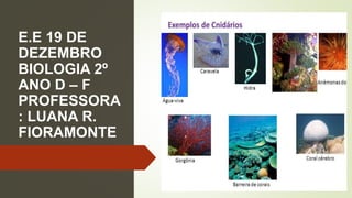 E.E 19 DE
DEZEMBRO
BIOLOGIA 2º
ANO D – F
PROFESSORA
: LUANA R.
FIORAMONTE
 