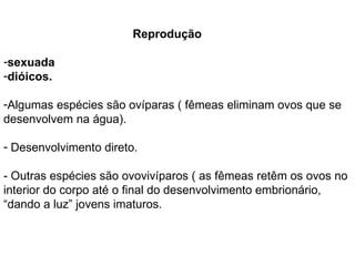 Reprodução sexuada   dióicos.   Algumas espécies são ovíparas ( fêmeas eliminam ovos que se desenvolvem na água).  Desenvolvimento direto.  - Outras espécies são ovovivíparos ( as fêmeas retêm os ovos no interior do corpo até o final do desenvolvimento embrionário, “dando a luz” jovens imaturos. 