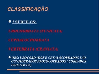 CLASSIFICAÇÃO
3 SUBFILOS:
UROCHORDATA (TUNICATA)
CEPHALOCHORDATA
VERTEBRATA (CRANIATA)
OBS: UROCORDADOS E CEFALOCORDADOS SÃO
CONSIDERADOS PROTOCORDADOS ( CORDADOS
PRIMITIVOS)
 
