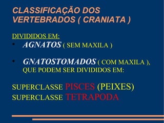 CLASSIFICAÇÃO DOS
VERTEBRADOS ( CRANIATA )
DIVIDIDOS EM:
• AGNATOS ( SEM MAXILA )
• GNATOSTOMADOS ( COM MAXILA ),
QUE PODEM SER DIVIDIDOS EM:
SUPERCLASSE PISCES (PEIXES)
SUPERCLASSE TETRAPODA
 