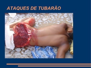 ATAQUES DE TUBARÃO
 