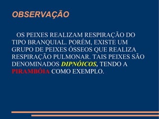 OBSERVAÇÃO
OS PEIXES REALIZAM RESPIRAÇÃO DO
TIPO BRANQUIAL. PORÉM, EXISTE UM
GRUPO DE PEIXES ÓSSEOS QUE REALIZA
RESPIRAÇÃO PULMONAR. TAIS PEIXES SÃO
DENOMINADOS DIPNÓICOS, TENDO A
PIRAMBÓIA COMO EXEMPLO.
 