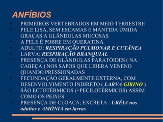 ANFÍBIOS
• PRIMEIROS VERTEBRADOS EM MEIO TERRESTRE
• PELE LISA, SEM ESCAMAS E MANTIDA ÚMIDA
GRAÇAS A GLÂNDULAS MUCOSAS
• A PELE É POBRE EM QUERATINA
• ADULTO: RESPIRAÇÃO PULMONAR E CUTÂNEA
• LARVA: RESPIRAÇÃO BRANQUIAL
• PRESENÇA DE GLÂNDULAS PARATÓIDES ( NA
CABEÇA ) NOS SAPOS QUE LIBERA VENENO
QUANDO PRESSIONADAS
• FECUNDAÇÃO GERALMENTE EXTERNA, COM
DESENVOLVIMENTO INDIRETO ( LARVA GIRINO )
• SÃO ECTOTÉRMICOS (=PECILOTÉRMICOS) ASSIM
COMO OS PEIXES
• PRESENÇA DE CLOACA; EXCRETA : URÉIA nos
adultos e AMÔNIA em larvas
 