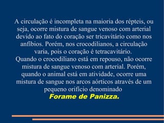A circulação é incompleta na maioria dos répteis, ou
seja, ocorre mistura de sangue venoso com arterial
devido ao fato do coração ser tricavitário como nos
anfíbios. Porém, nos crocodilianos, a circulação
varia, pois o coração é tetracavitário.
Quando o crocodiliano está em repouso, não ocorre
mistura de sangue venoso com arterial. Porém,
quando o animal está em atividade, ocorre uma
mistura de sangue nos arcos aórticos através de um
pequeno orifício denominado
Forame de Panizza.
 