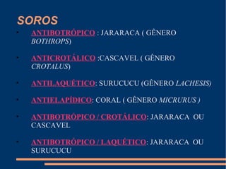 SOROS
• ANTIBOTRÓPICO : JARARACA ( GÊNERO
BOTHROPS)
• ANTICROTÁLICO :CASCAVEL ( GÊNERO
CROTALUS)
• ANTILAQUÉTICO: SURUCUCU (GÊNERO LACHESIS)
• ANTIELAPÍDICO: CORAL ( GÊNERO MICRURUS )
• ANTIBOTRÓPICO / CROTÁLICO: JARARACA OU
CASCAVEL
• ANTIBOTRÓPICO / LAQUÉTICO: JARARACA OU
SURUCUCU
 