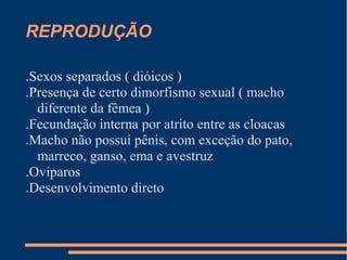 REPRODUÇÃO
.Sexos separados ( dióicos )
.Presença de certo dimorfismo sexual ( macho
diferente da fêmea )
.Fecundação interna por atrito entre as cloacas
.Macho não possui pênis, com exceção do pato,
marreco, ganso, ema e avestruz
.Ovíparos
.Desenvolvimento direto
 