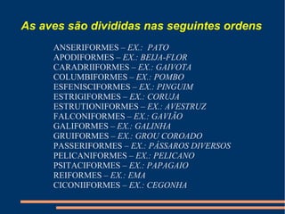 As aves são divididas nas seguintes ordens
ANSERIFORMES – EX.: PATO
APODIFORMES – EX.: BEIJA-FLOR
CARADRIIFORMES – EX.: GAIVOTA
COLUMBIFORMES – EX.: POMBO
ESFENISCIFORMES – EX.: PINGUIM
ESTRIGIFORMES – EX.: CORUJA
ESTRUTIONIFORMES – EX.: AVESTRUZ
FALCONIFORMES – EX.: GAVIÃO
GALIFORMES – EX.: GALINHA
GRUIFORMES – EX.: GROU COROADO
PASSERIFORMES – EX.: PÁSSAROS DIVERSOS
PELICANIFORMES – EX.: PELICANO
PSITACIFORMES – EX.: PAPAGAIO
REIFORMES – EX.: EMA
CICONIIFORMES – EX.: CEGONHA
 