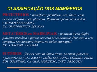 CLASSIFICAÇÃO DOS MAMÍFEROS
PROTOTÉRIOS : mamíferos primitivos, sem útero, com
cloaca, ovíparos, sem placenta. Possuem apenas uma ordem
( MONOTREMADOS ) .
EX.: ORNITORRINCO, ÉQUIDNA
METATÉRIOS ou MARSUPIAIS : possuem útero duplo,
placenta precária e parem sua cria precocemente. Por isso, a cria
completa seu desenvolvimento na bolsa marsupial.
EX.: CANGURU e GAMBÁ
EUTÉRIOS : fêmeas com um único útero, possuem placenta
( placentários ) EX.: BALEIA, LEÃO, ELEFANTE, COELHO, PEIXE-
BOI, GOLFINHO, CAVALO, MORCEGO, TATU, PREGUIÇA
 