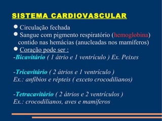 SISTEMA CARDIOVASCULAR
Circulação fechada
Sangue com pigmento respiratório (hemoglobina)
contido nas hemácias (anucleadas nos mamíferos)
Coração pode ser :
-Bicavitário ( 1 átrio e 1 ventrículo ) Ex. Peixes
-Tricavitário ( 2 átrios e 1 ventrículo )
Ex.: anfíbios e répteis ( exceto crocodilianos)
-Tetracavitário ( 2 átrios e 2 ventrículos )
Ex.: crocodilianos, aves e mamíferos
 